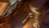 Fran (34)-rGeJQ5Tr.mp4